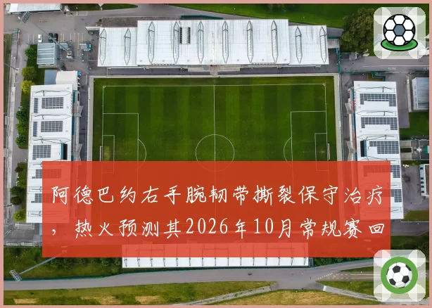 阿德巴约右手腕韧带撕裂保守治疗,热火预测其2026年10月常规赛回归