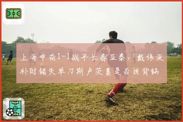 上海申花1-1战平长春亚泰，戴伟浚补时错失单刀斯卢茨基是否该背锅？